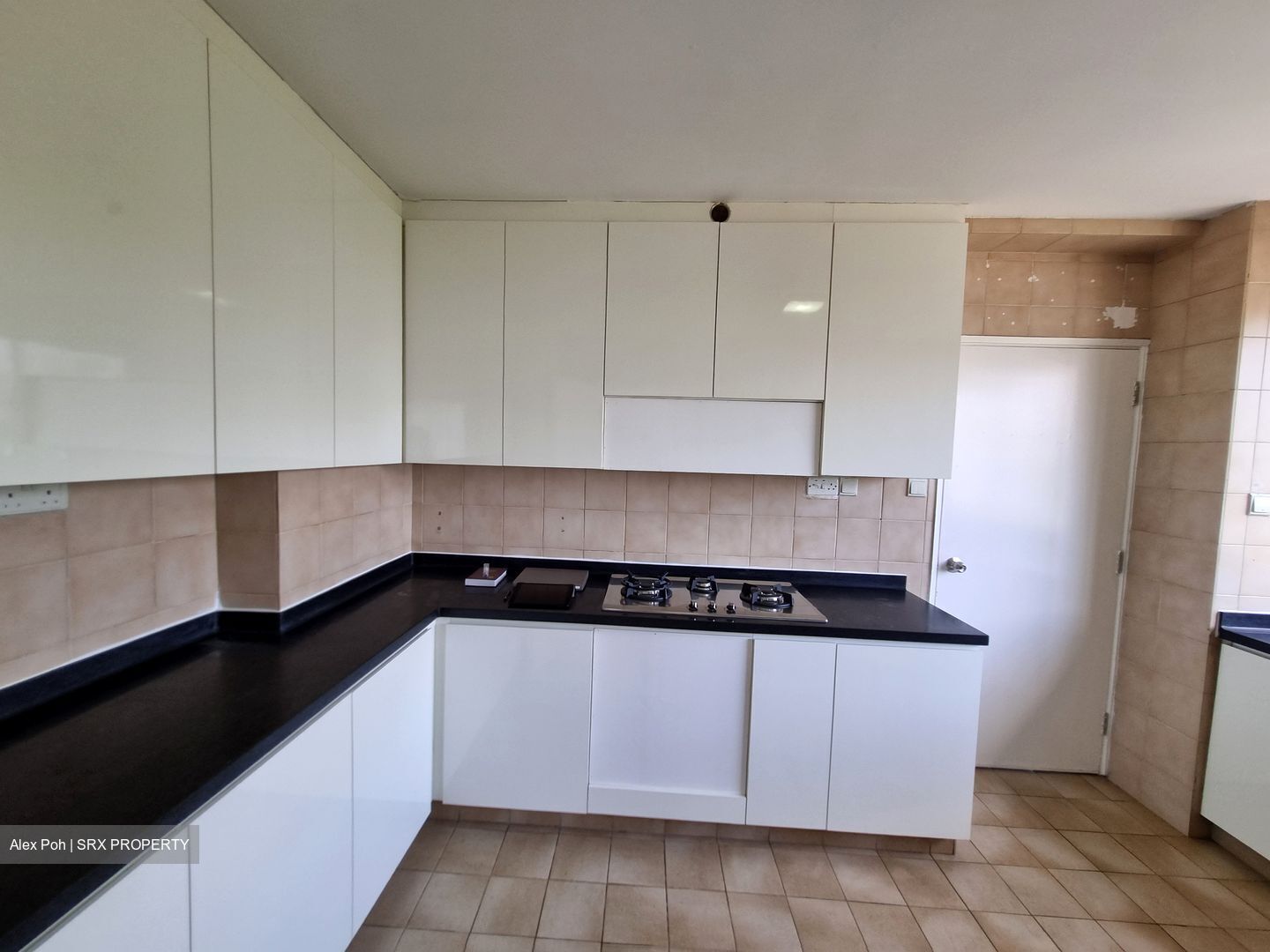 The Cairnhill (D9), Condominium #507764101